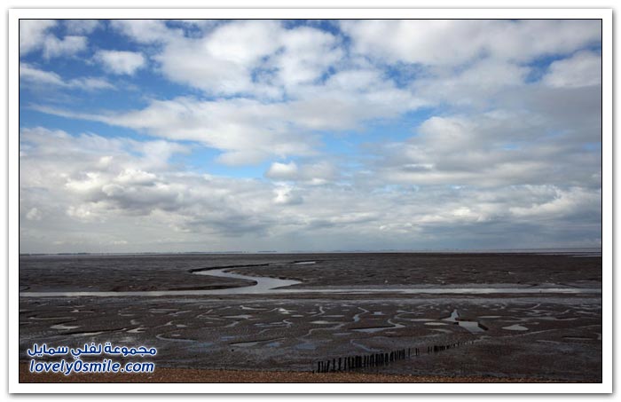   Snettisham   