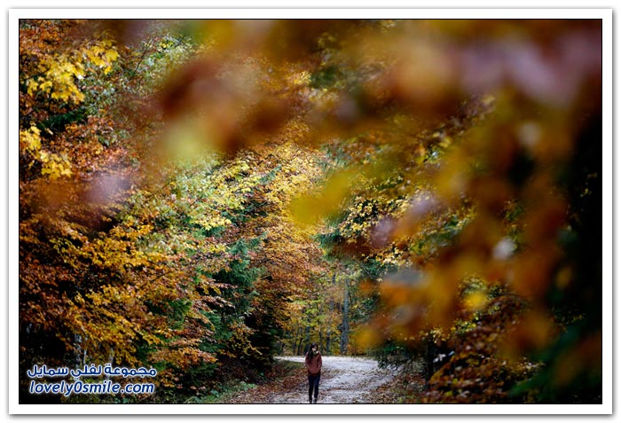 صور الخريف حول العالم لعام 2013م