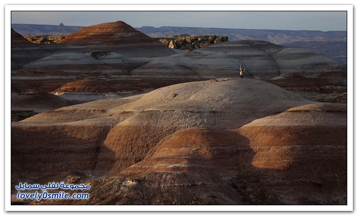 أبرز الصور في سنة 2013 لشهر يناير - أبريل