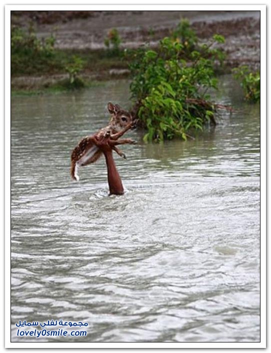 ��� ���� ��� �� ����� �� �������