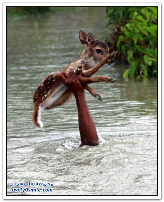 ��� ���� ��� �� ����� �� �������