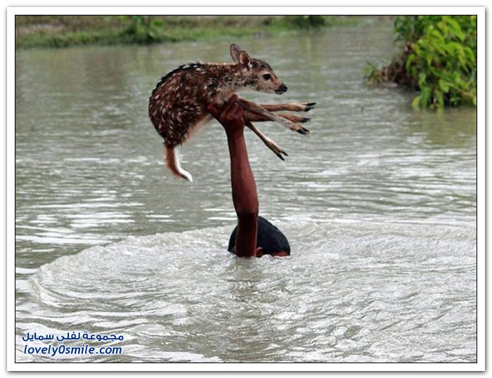 ��� ���� ��� �� ����� �� �������