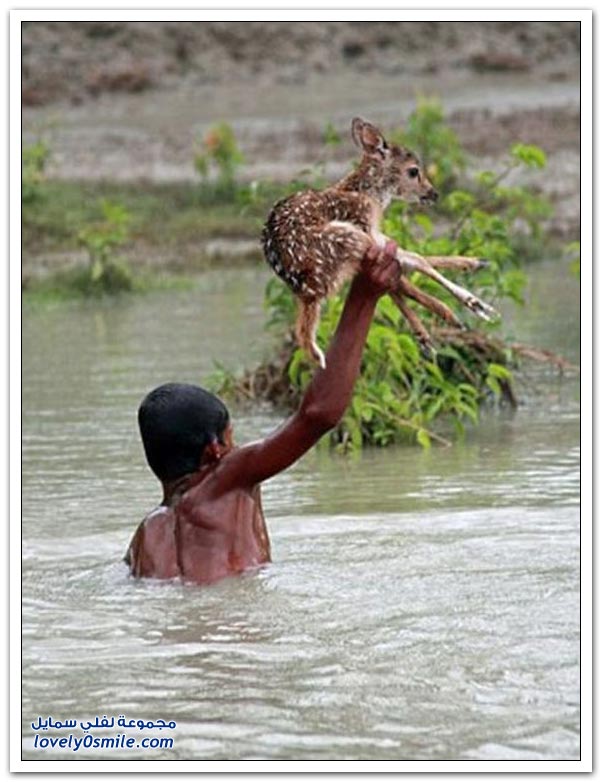 ��� ���� ��� �� ����� �� �������