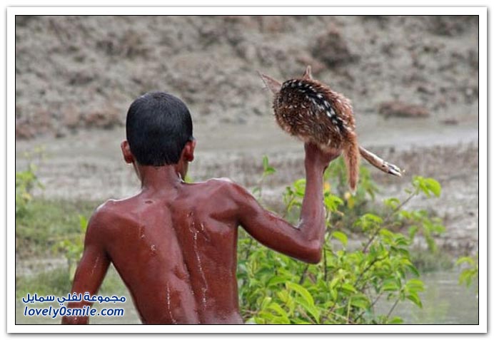 ��� ���� ��� �� ����� �� �������