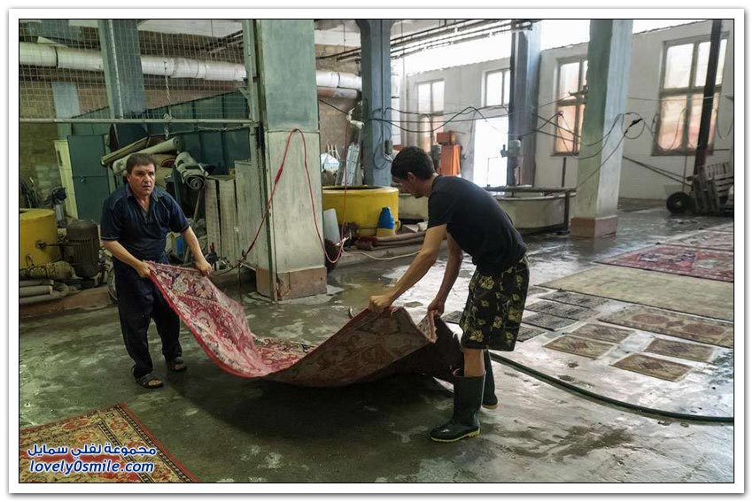 مصنع سجاد يدوي في أرمينيا