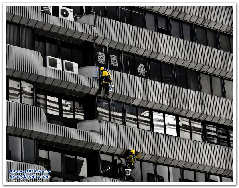 من أخطر الوظائف في العالم تنظيف نوافذ البنايات