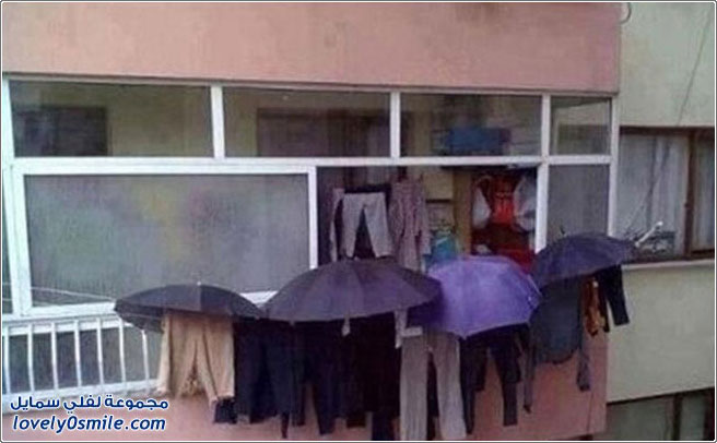 ��� ������ �� �������� �42