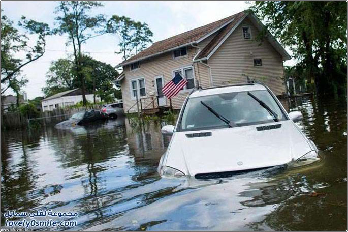 ����� ���� ����� ���� �������