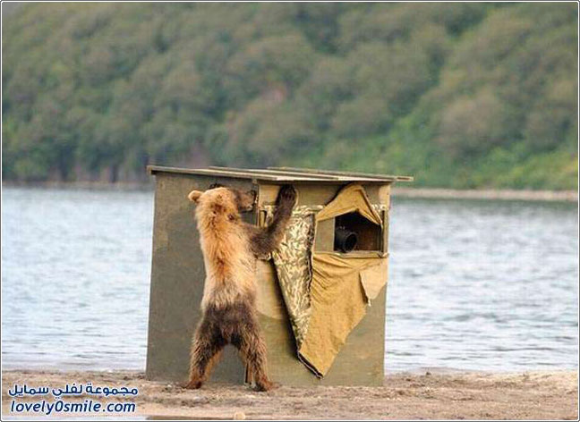 ��� ����� ������ ����� ��������� ������