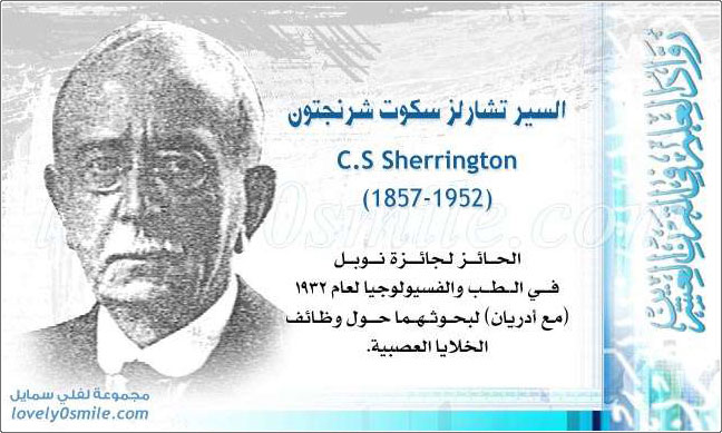     C.S Sherrington