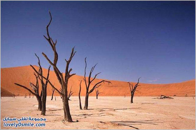 الوادي الميت في ناميبيا